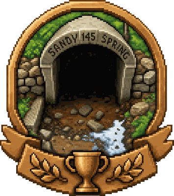 Bronze Sandy Spring medal